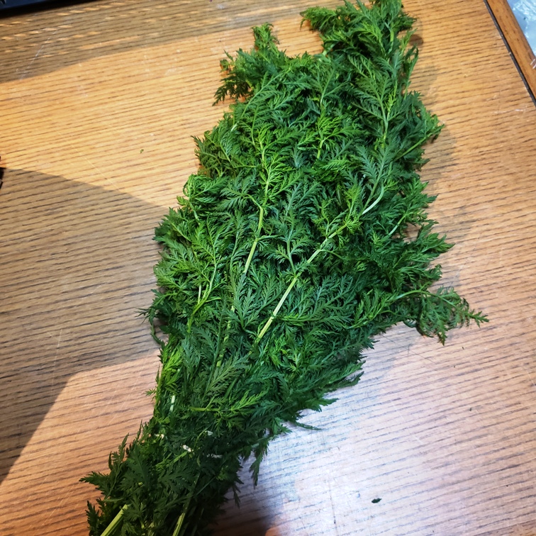 Fresh Herbs - Artemisia Annua (sweet wormwood) - FairShare