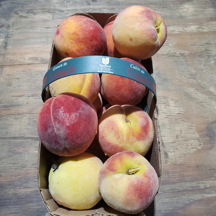 Peaches, Garnet Beauty (Semi-Freestone) 3L
