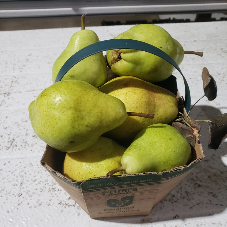 Pears, French Bartlett 2L  - Warner'