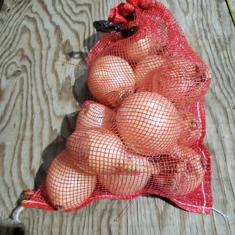 Onions, White 5lb - Knechtel