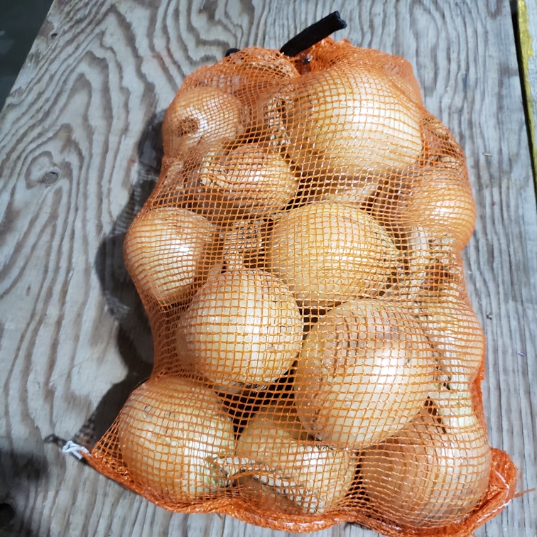 Onions, Spanish 10lb - Knechtel