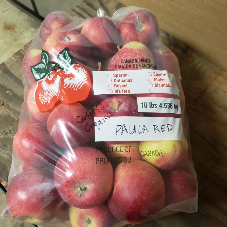Apples, Paula Red 10lbs Apple Creek Farm The Sustainable Market