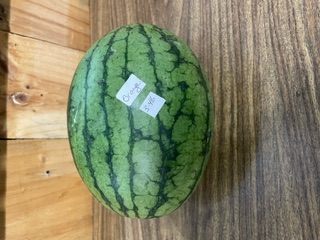 Watermelon, Orange Flesh 3-4lbs - Knechtel