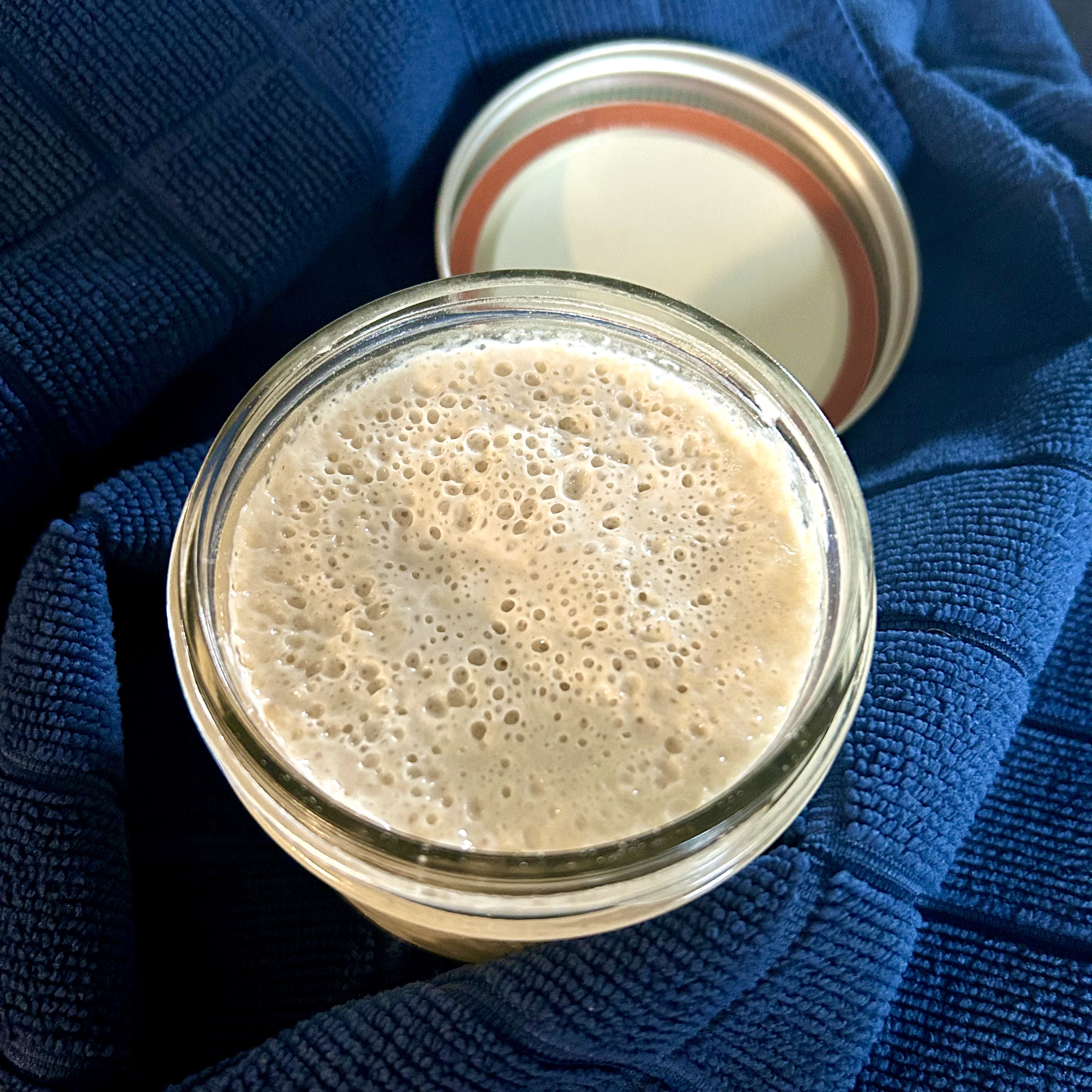 Organic Spelt Active Sourdough Starter, 1/4 cup (60g) - The Sustainable Kitchen