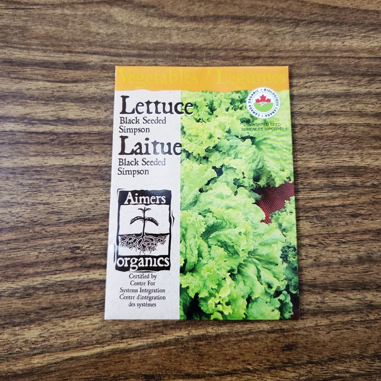Seeds - Lettuce, Black Seeded Simpson