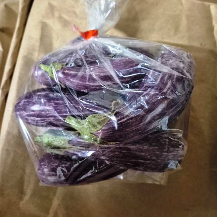 Eggplant, Baby 1lb - Knechtel