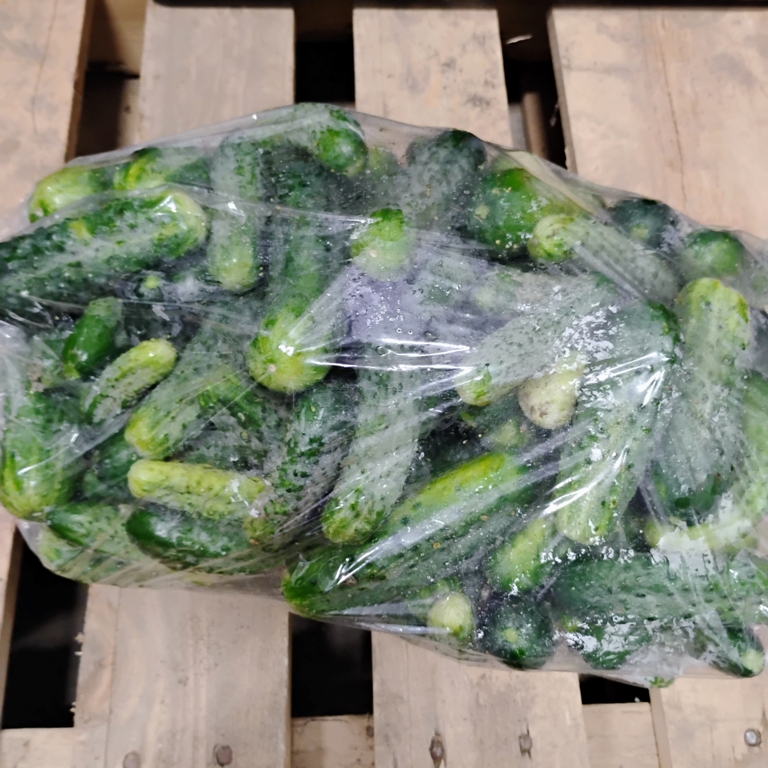 Pickling Cucumbers 10lb - Bowman