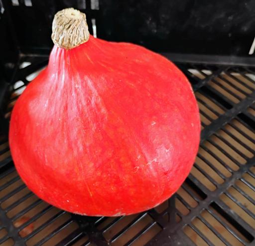 Squash, Red Hubbard - Bowman