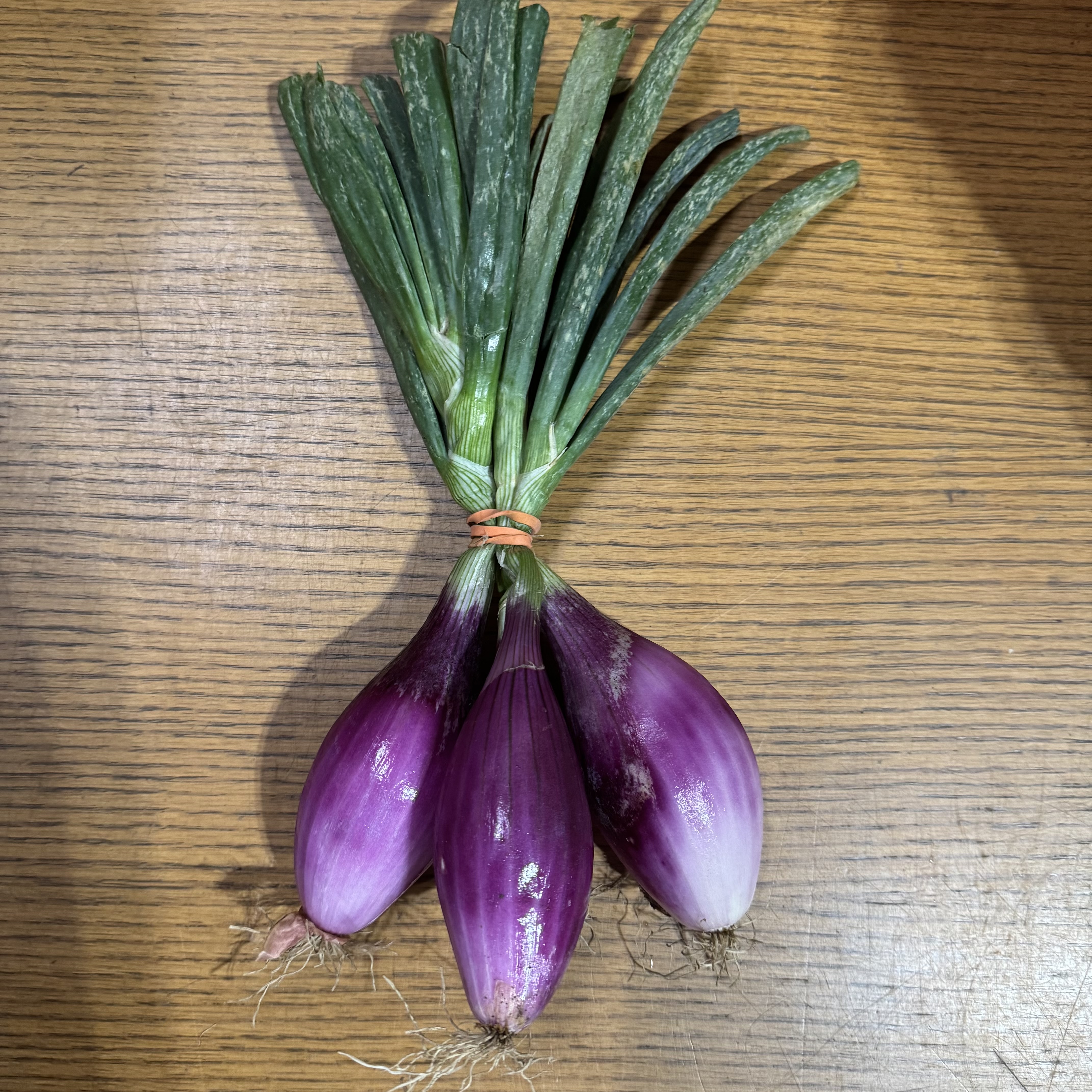 Onions, Red Tropea 1 Pound - Bowman-