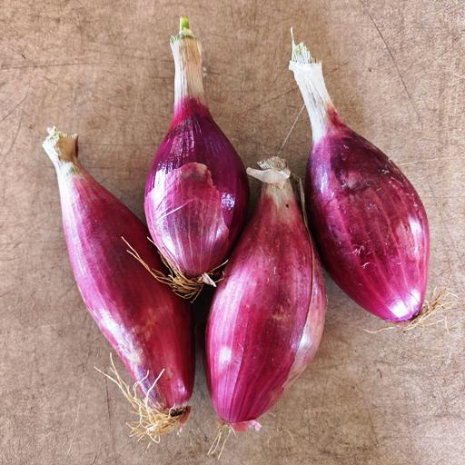 Onions, Red Tropea 2 Pound - Bowman